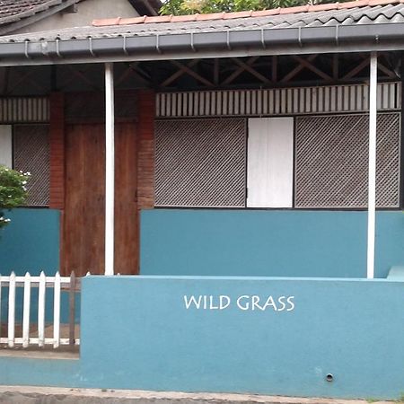 Villa Wild Grass Tangalle Exterior foto